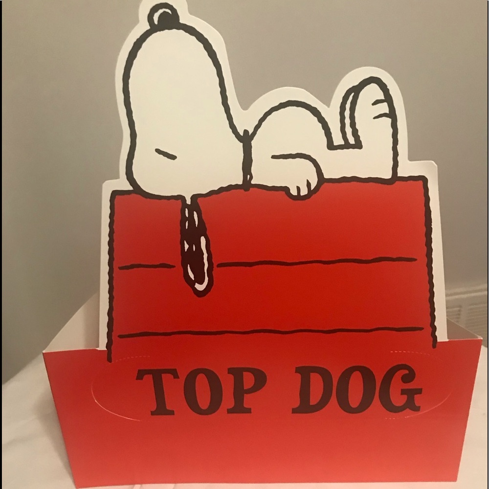 Snoopy Top Dog Adjustable Hats